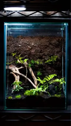 2025年最新】パルダリウム 完成品の人気アイテム - メルカリ