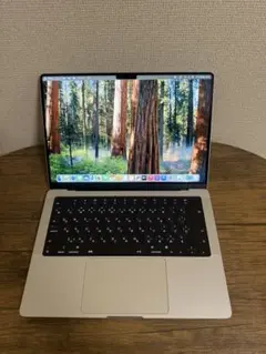 MacBook Pro M1 Pro メモリ32GB/SSD1TB 14インチ
