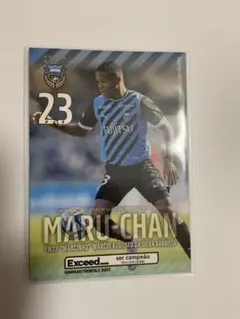 Item thumbnail for item b9e76a0e-ab5f-4ada-8f5a-31e8f1bfeeaa