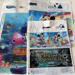 ディズニーリゾート ショップ袋　パイレーツサマー　夏祭り2017