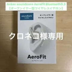 Anker soundcore AeroFit オープンイヤー型イヤホン