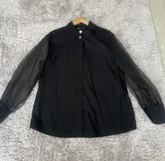 ZARA シースルーシャツ