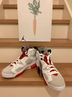 ナイキ エアジョーダン6 