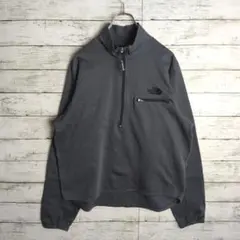 ノースフェイス ハーフジップ 長袖 フリース ウルトラウィック 刺繍ロゴ グレー