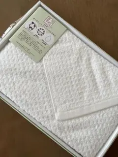 Item thumbnail for item 1235a027-8519-430a-8d9a-5585d5a849bd