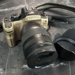 2026年最新】lumix dmc gh1の人気アイテム - メルカリ