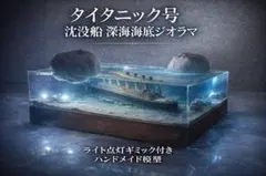 実物タイタニック号 引き上げ船体の一部 - メルカリ