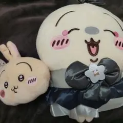 ちいかわ　ぬいぐるみパスケースポーチ　うさぎ