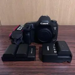 豪華フルセット】Canon EOS-1Ds Mark III 純正バッグ付 - メルカリ