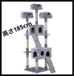 Item thumbnail for item 296938df-736e-472d-a64c-397d699f8ef3