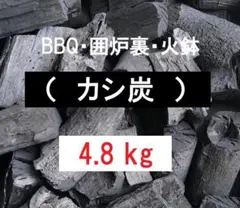 カーバイト 9Kg燃料用 昭和レトロ キャンプ 夜釣り - メルカリ
