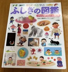 ふしぎの図鑑 ⭐︎楽しく遊ぶ学ぶ