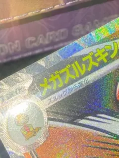 中国語箔押しエラー メガズルズキンex MA - メルカリ
