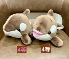 2026年最新】須磨シーワールドの人気アイテム - メルカリ