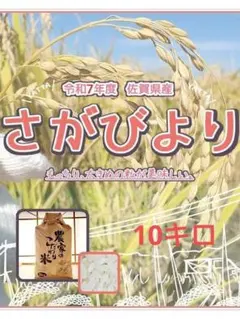 さがびより　10キロ 令和7年度佐賀県産のサムネイル