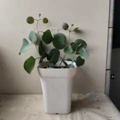 Lian. J様 リクエスト 3点 まとめ商品