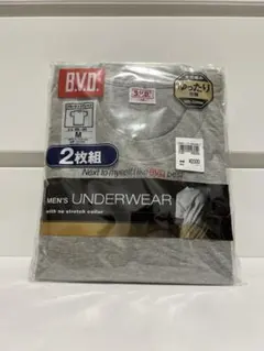 B.V.D. メンズTシャツ 2枚組 M