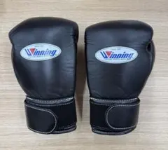 2025年最新】ウイニング グローブ 8オンスの人気アイテム - メルカリ