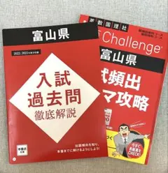 Item thumbnail for item 514d032e-10fd-4cf1-83a9-4d1e0c22c332