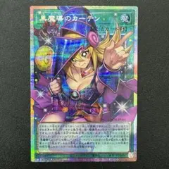 2026年最新】黒魔導のカーテンプリシクの人気アイテム - メルカリ