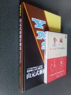 DVD 2枚セット 山元式新頭鍼療法 続・山元式新頭鍼療法 YNSA DVD