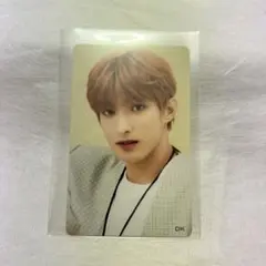 SEVENTEEN ひとりじゃない ドギョム トレカ