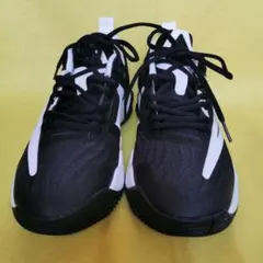 新品試し履きのみ 26cm ヤニス イモータリティ 3 バッシュ　　DZ7534