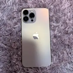 iPhone13ProMax エクスプレス交換品　新品