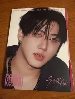 straykids KARMA チャンビン アコーディオン