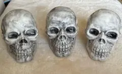 2026年最新】骸骨 置物の人気アイテム - メルカリ