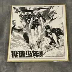 匿名発送 ハイキュー 烏野 影山飛雄 日向翔陽 中国限定 色紙 特典 未開封