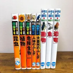 全巻DVD付 図鑑8冊セット 小学館 NEO 講談社 MOVE
