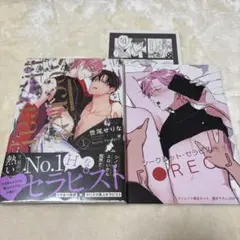 碧様 リクエスト 2点 まとめ商品