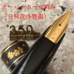 2026年最新】プラチナ 万年筆 18kの人気アイテム - メルカリ