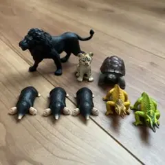 タカラトミー アニア 動物フィギュアセット