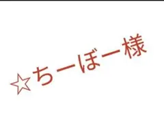 ☆ちーぼー様専用！