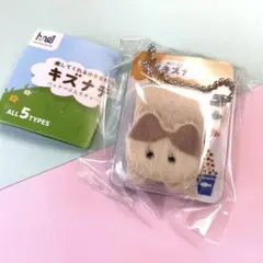 キズナデ パッケージ入りチャーム ハチワレ ガチャガチャ