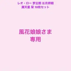風花娘娘さま専用 レオ・ロー 罗云熙 长月烬明 満天星 栞