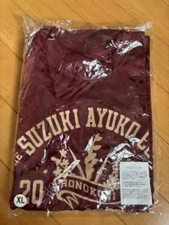 【未使用】豊橋ハーフマラソン2025年　Tシャツ　XL