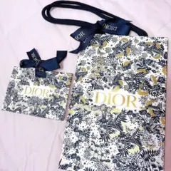 Dior ショッパー　ショップ袋　紙袋　ギフト　プレゼント　コスメ　リボン付きのサムネイル