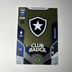 Panini FIFA 365 Botafogo ブラジル　サッカー　カード