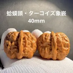 極美品】文玩核桃・曹大龍40mmペア・幻の皮質・遊びクルミ 骨質S+経年
