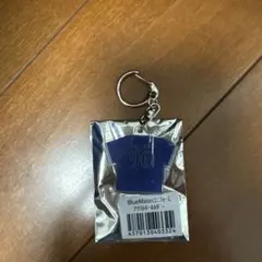 横浜DeNAベイスターズ BlueMates限定　キーホルダー　バウアー