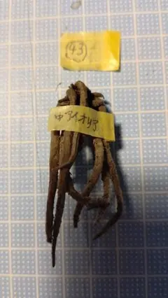 Nozzle様 リクエスト 2点 まとめ商品