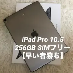【完動品】iPad Pro 10.5 256GB SIMフリー 【すぐ発送】