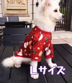 ワンコイン！Ｌサイズ小型犬中型犬ドッグウェアーＴシャツ！ダックスも！DMLDL赤
