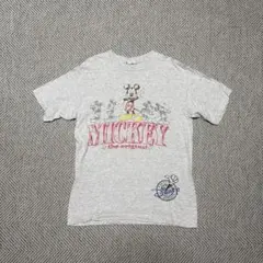 90s Disney World ミッキーマウス Tシャツ 霜降りUSA製
