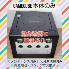 動作確認済 ゲームキューブ ニンテンドー Nintendo 本体のみ 任天堂