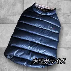 2026年最新】blue bleu bleueの人気アイテム - メルカリ