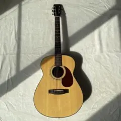 2026年最新】ギター sf200の人気アイテム - メルカリ